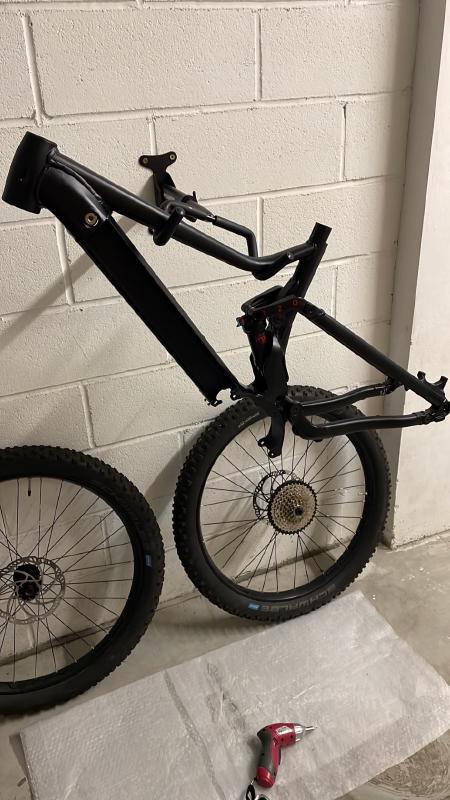 Bulls ecore tr2