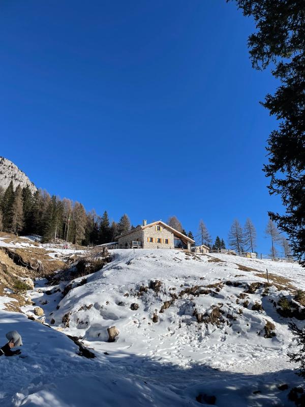 Agriturismo Malga Maraia, Auronzo di Cadore